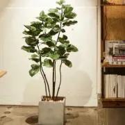 kの画像