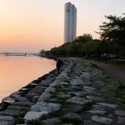 k.m.t.r.eの画像