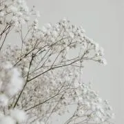 mの画像