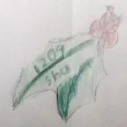 虎鉄