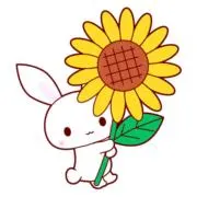 陽葵/即決可/値下げ不可/次回発送12日の画像