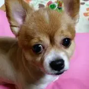 Misa☆プロフ必読お願いします