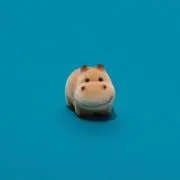 てちの画像