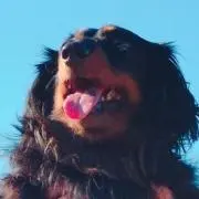 moyakoの画像