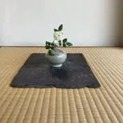 みっちゃんの画像