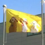 るるの画像