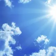 りん。即購入OKです！！(*^^*)の画像