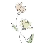 みょんの画像
