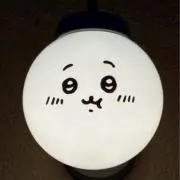 ぽるんの画像