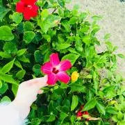 ⭐︎の画像