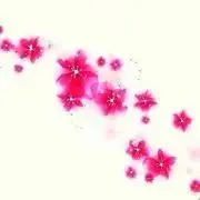 しらさと