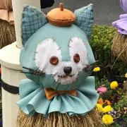 わしんとんの画像