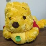 くわんてぃの画像