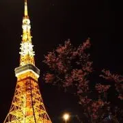 smithの画像
