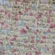 モモの画像