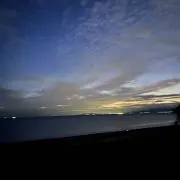 ぴーたーの画像