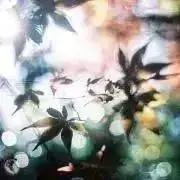 ＊greener＊の画像
