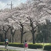 aの画像