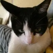 kuuuの画像