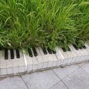 しおりん♪の画像