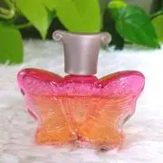 ジャスミンの画像