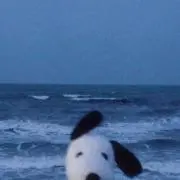 ちいかわ