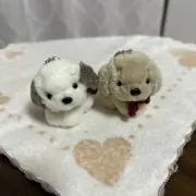 chanbi0223の画像