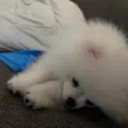 あぽ* プロフ必読‼️7/17発送の画像