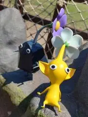 ☆Y☆