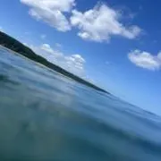 八歳の画像