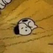 キフユの画像