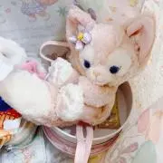 なみの画像
