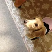 みっちゃん