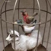 とりっぴーの画像
