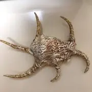 シュウ