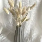 paru断捨離開始中の画像