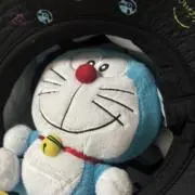 どら猫の画像
