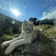 たまろうの画像