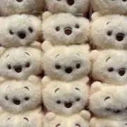 ムックの画像