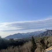 ときの画像