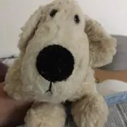 しんべぇ