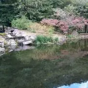 ZHの画像