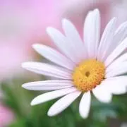 8780の画像