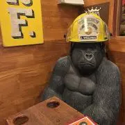 mmmの画像