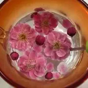 Ogawaの画像
