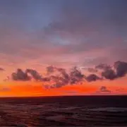 ホロロの画像