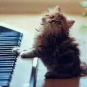 yuja♪