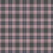 mmの画像