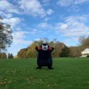くまきちの画像