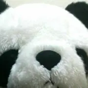 りゃん